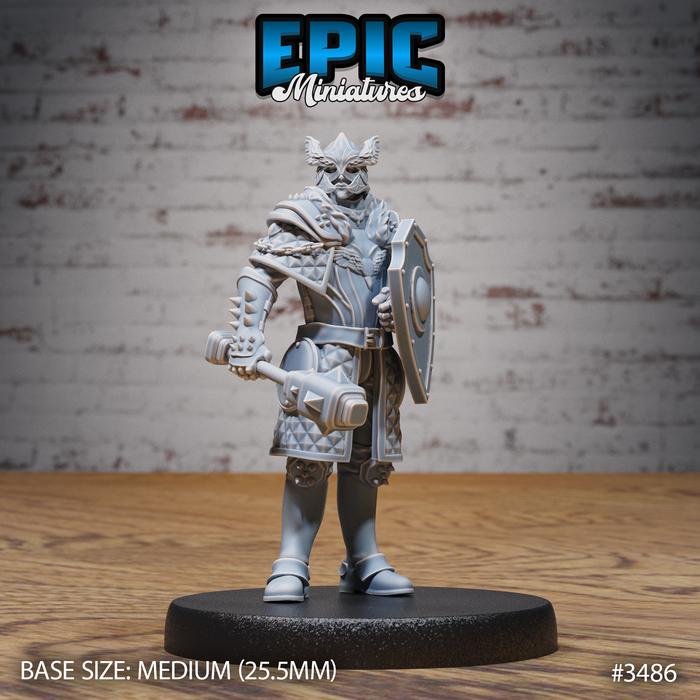 Knight Sir Rollant A | Chivalry Garden | Fantasy Miniature | Epic Miniatures
