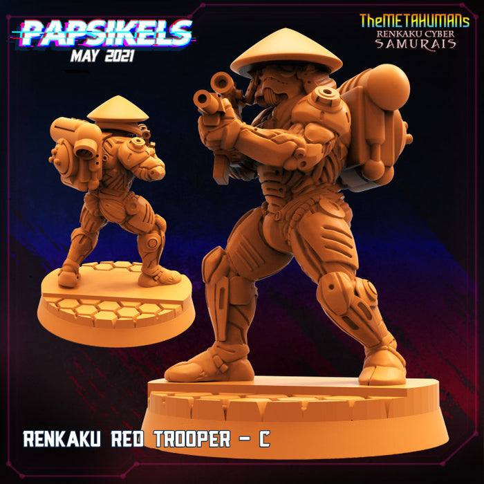 Renkaku Cyber Samurai Miniatures | Cyberpunk | Sci-Fi Miniature | Papsika