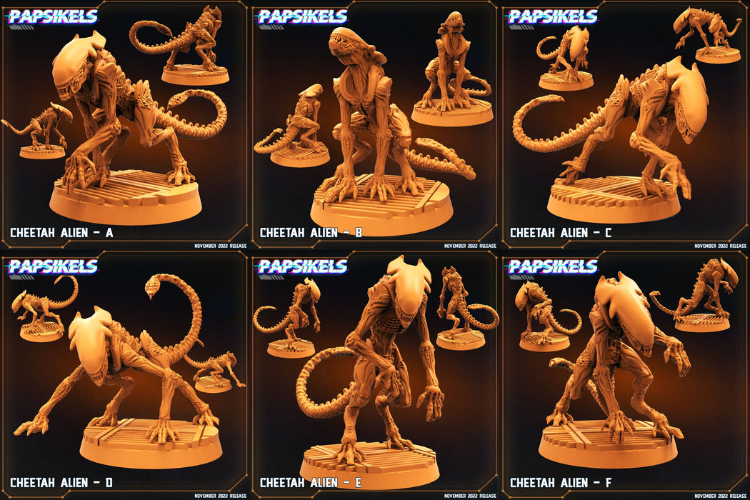 Aliens Vs Skull Hunters II Miniatures | Sci-Fi Miniature | Papsikels TabletopXtra