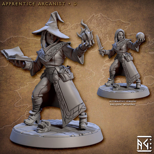 Apprentice Arcanist D (Alt) | Arcanist Guild | Fantasy Miniature | Artisan Guild TabletopXtra