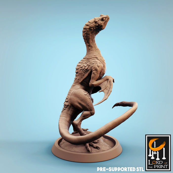 Baby Standing | The Wyvern Swarm | Fantasy Miniature | Lord of the Print TabletopXtra