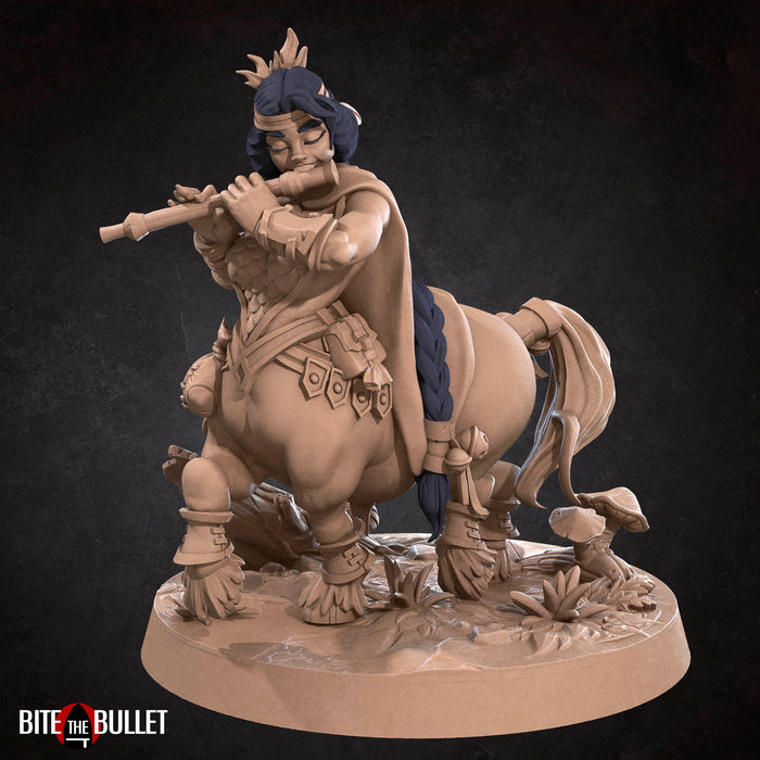 Bard | Centaurs | Fantasy Miniature | Bite the Bullet TabletopXtra