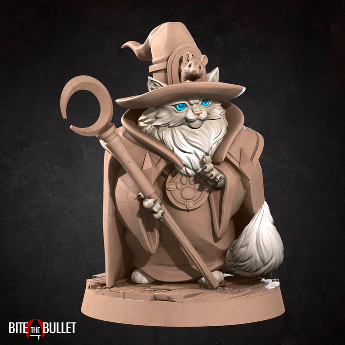 Cat Wizard | Tabaxi | Fantasy Miniature | Bite the Bullet TabletopXtra