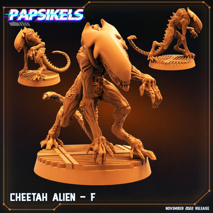 Cheetah Alien F | Aliens Vs Skull Hunters II | Sci-Fi Miniature | Papsikels TabletopXtra