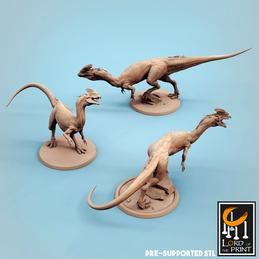 Dilophosaurus Miniatures | Dinotopia Part 2 | Fantasy Miniature | Lord of the Print TabletopXtra