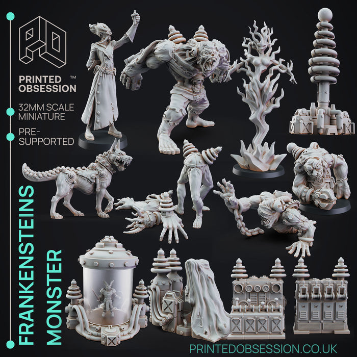 Frankensteins' Monster Miniatures (Full Set) | Fantasy Miniature | Printed Obsession TabletopXtra