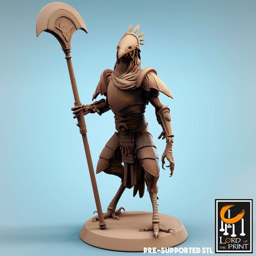 Kenku Soldier G | Dinotopia Part 2 | Fantasy Miniature | Lord of the Print TabletopXtra