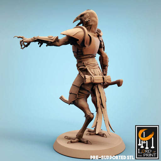 Kenku Soldier J | Dinotopia Part 2 | Fantasy Miniature | Lord of the Print TabletopXtra