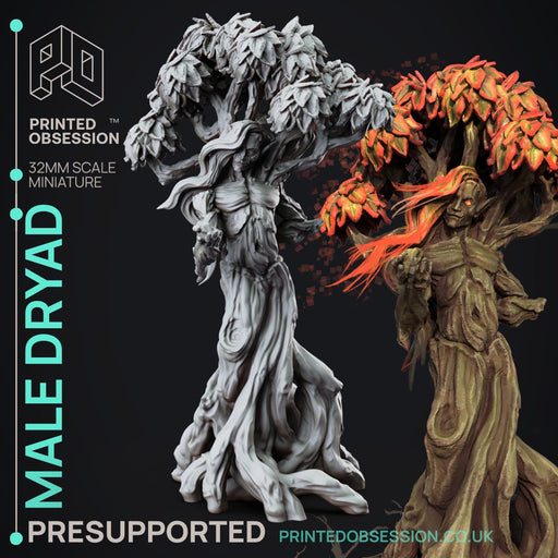 Male Dryad | Faywild Vs Shadowfell | Fantasy Miniature | Printed Obsession TabletopXtra