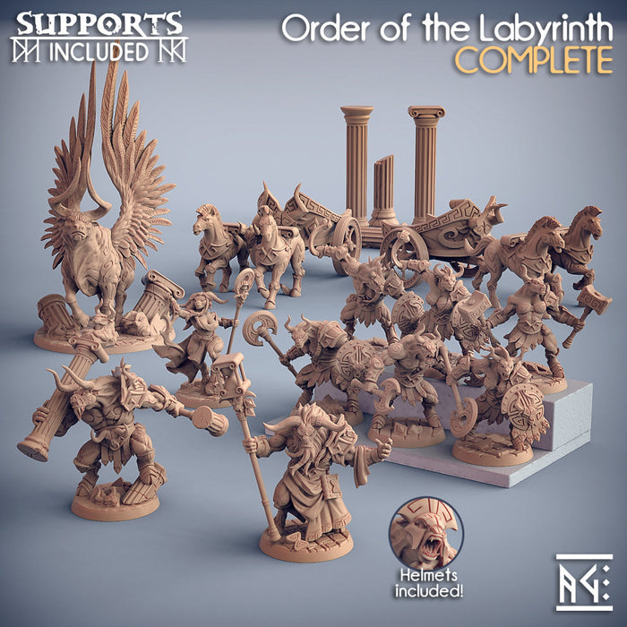 Order of the Labyrinth Miniatures (Full Set) | Fantasy Miniature | Artisan Guild TabletopXtra