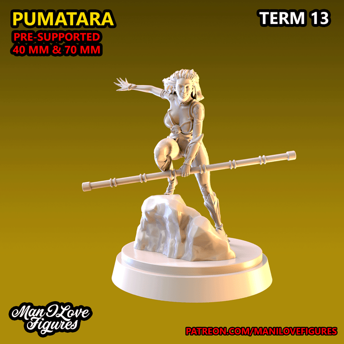 Pumatara B | Term 13 | Fantasy Miniature | Man I Love Figures TabletopXtra