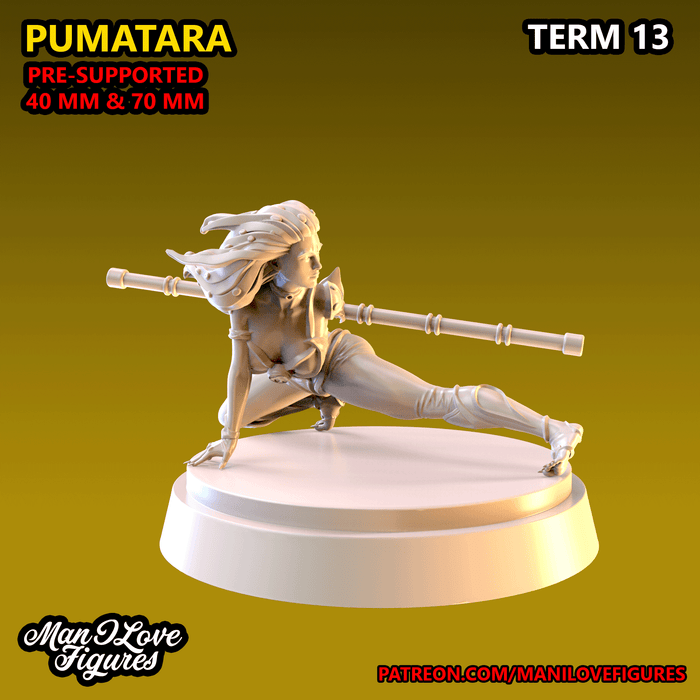 Pumatara | Term 13 | Fantasy Miniature | Man I Love Figures TabletopXtra