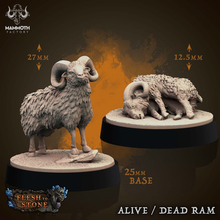 Ram Miniatures | Flesh to Stone | Fantasy Miniature | Mammoth Factory TabletopXtra