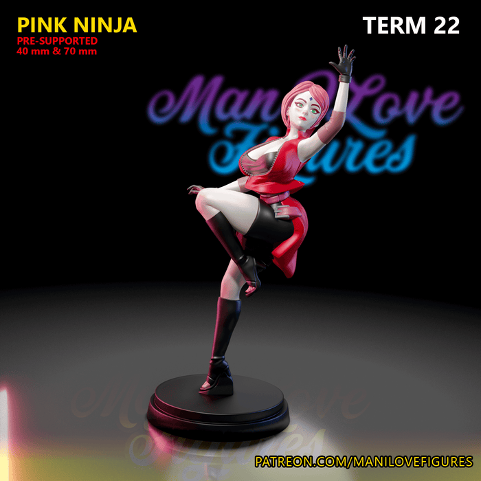Pink Ninja | Term 22 | Pin-Up Statue Fan Art Miniature Unpainted | Man I Love Figures