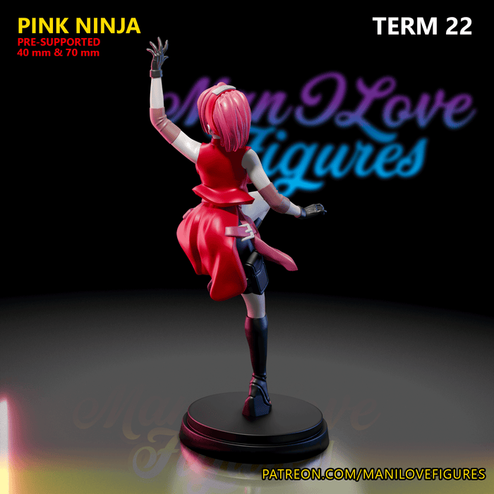 Pink Ninja | Term 22 | Pin-Up Statue Fan Art Miniature Unpainted | Man I Love Figures