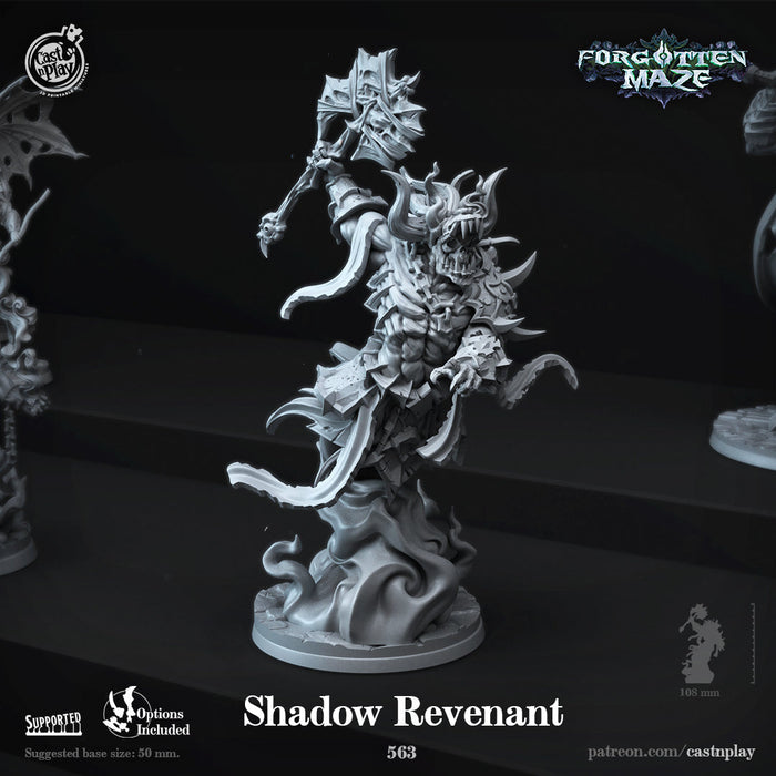 Shadow Revenant | Forgotten Maze | Fantasy Miniature | Cast n Play TabletopXtra