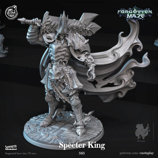 Specter King | Forgotten Maze | Fantasy Miniature | Cast n Play TabletopXtra