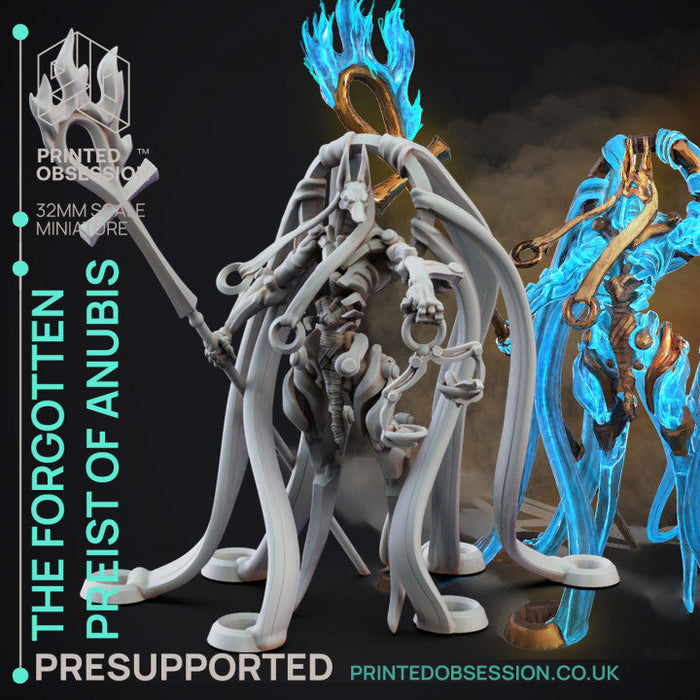 The Forgotten Priest of Anubis | Deity Fight Club | Fantasy Miniature | Printed Obsession TabletopXtra