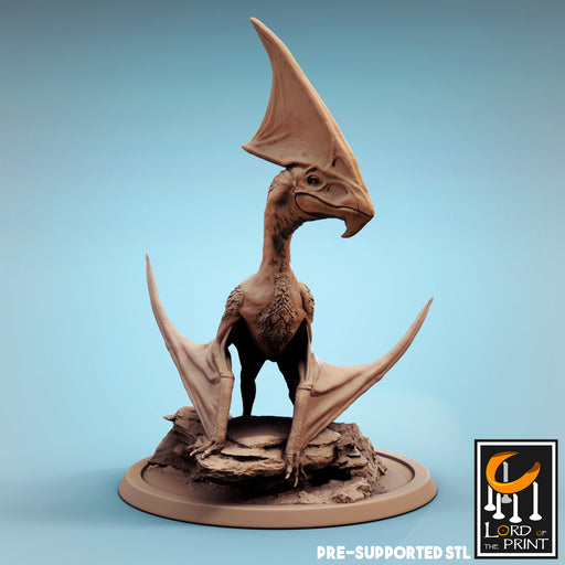 Tupandactylus D | Dinotopia Part 2 | Fantasy Miniature | Lord of the Print TabletopXtra