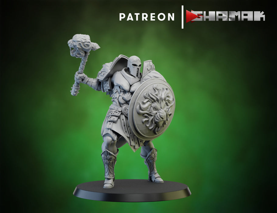 Warrior w/ Shield 1 | Spartancast | Fantasy Miniature | Ghamak TabletopXtra