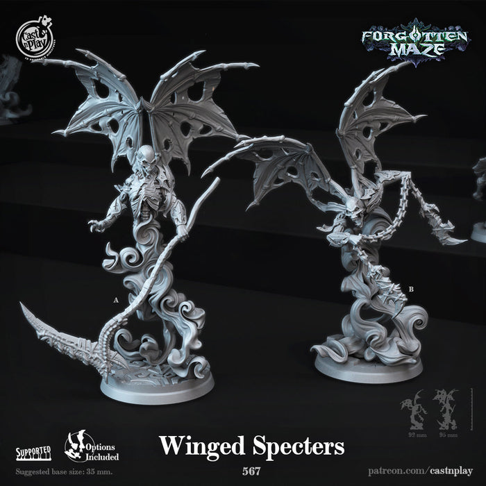 Winged Specter Miniatures | Forgotten Maze | Fantasy Miniature | Cast n Play TabletopXtra