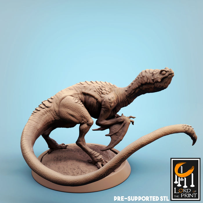 Wyvern Baby Miniatures | The Wyvern Swarm | Fantasy Miniature | Lord of the Print TabletopXtra
